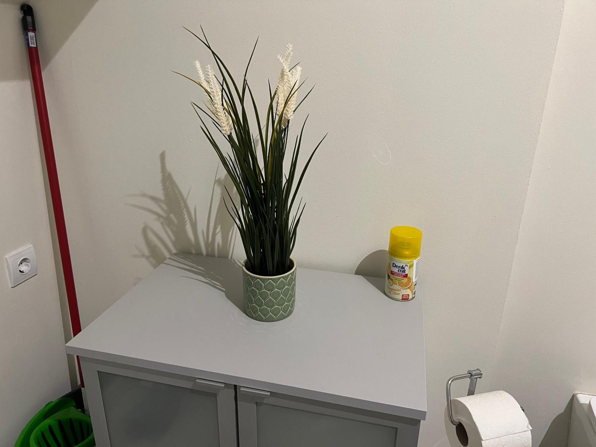 Buekkoes Apartman Apartment เซนเทนแดร ภายนอก รูปภาพ